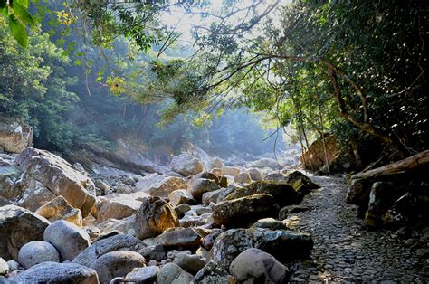 十万大山|广西十万大山国家森林公园